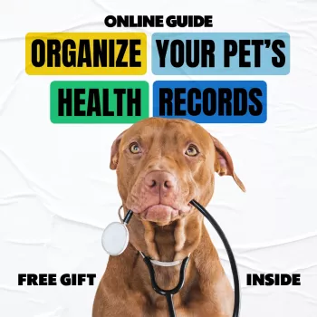 Digital Pet Health Records: Organize Vaccines, Meds & Labs